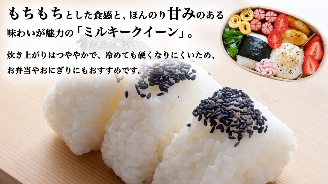 《 令和8年産 》 桜川市産 ミルキークイーン 10kg 新米 先行予約 茨城県 桜川市 米 お米 白米 コメ ごはん 精米 国産 限定 銘柄米 [SC072sa] 10kg（5kg×2袋）