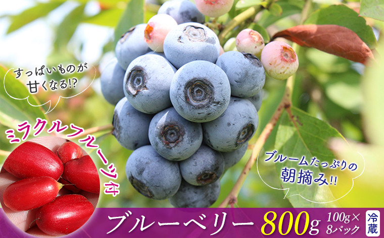
                  ミラクルフルーツ付き♪朝摘みブルーベリー800gセット
                