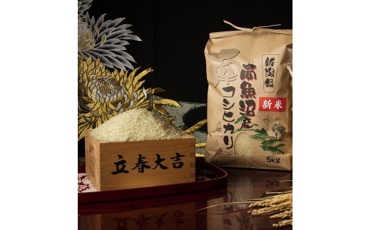 
                  【令和8年産 新米予約 全6回定期便】南魚沼塩沢産コシヒカリ 玄米5kg×6回 新潟県の特A地区南魚沼市の美味しいお米【定期便 銘柄米 ブランド米 玄米 こしひかり コシヒカリ】【2026年11月上旬から1ヶ月以内に順次発送予定】
                