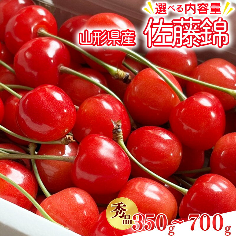 【ふるさと納税】【先行予約】令和8年産 さくらんぼ 佐藤錦 Lサイズ以上 350g - 700g バラ詰 山形県産【2026年6月上旬頃から下旬頃発送予定】※配送不可 沖縄・離島フルーツ 果物 果実 山形産 350グラム 700グラム 2026年産 令和8年 直送