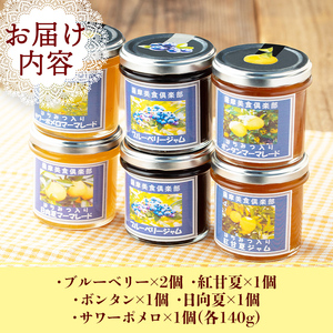 isa476 《数量限定》5種のバラエティージャム食べ比べセット(計6個・ブルーベリー×2、紅甘夏、ボンタン、サワーポメロ、日向夏)ブルーベリー 紅甘夏 ボンタン サワーポメロ 日向夏 加工食品 果物