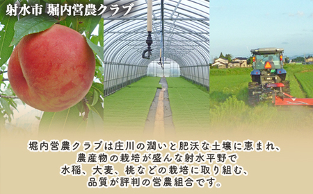 【射水市】【射水の美味しいお米】ほりうち米R7年度産ミルキークイーン10kg（5kg×2）【無洗米】※2025年9月下旬～10月中旬頃に順次発送予定 ※離島への配送不可