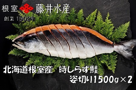 【北海道根室産】時しらず鮭切身1.5kg×2P D-42074