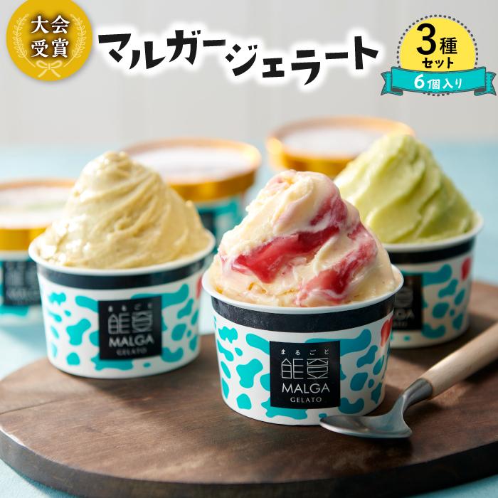 【ふるさと納税】【復興支援】マルガー大会受賞ジェラート3種セット（6個入り) | 石川県 石川 能登 石川県能登町 返礼品 お取り寄せ マルガー アイスクリーム アイス スイーツ デザート 能登町 ギフト プレゼント おいしい MALGA GELATO シャーベット 大会受賞 受賞作品