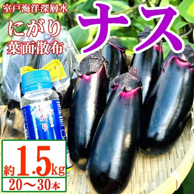農家直送　土佐の美味茄子の新鮮ナス　1.5kg　（室戸海洋深層水にがり使用） 野菜 なす ナス 常温 小袋 国産 夏野菜 茄子 小分け 旬 5000円 高知