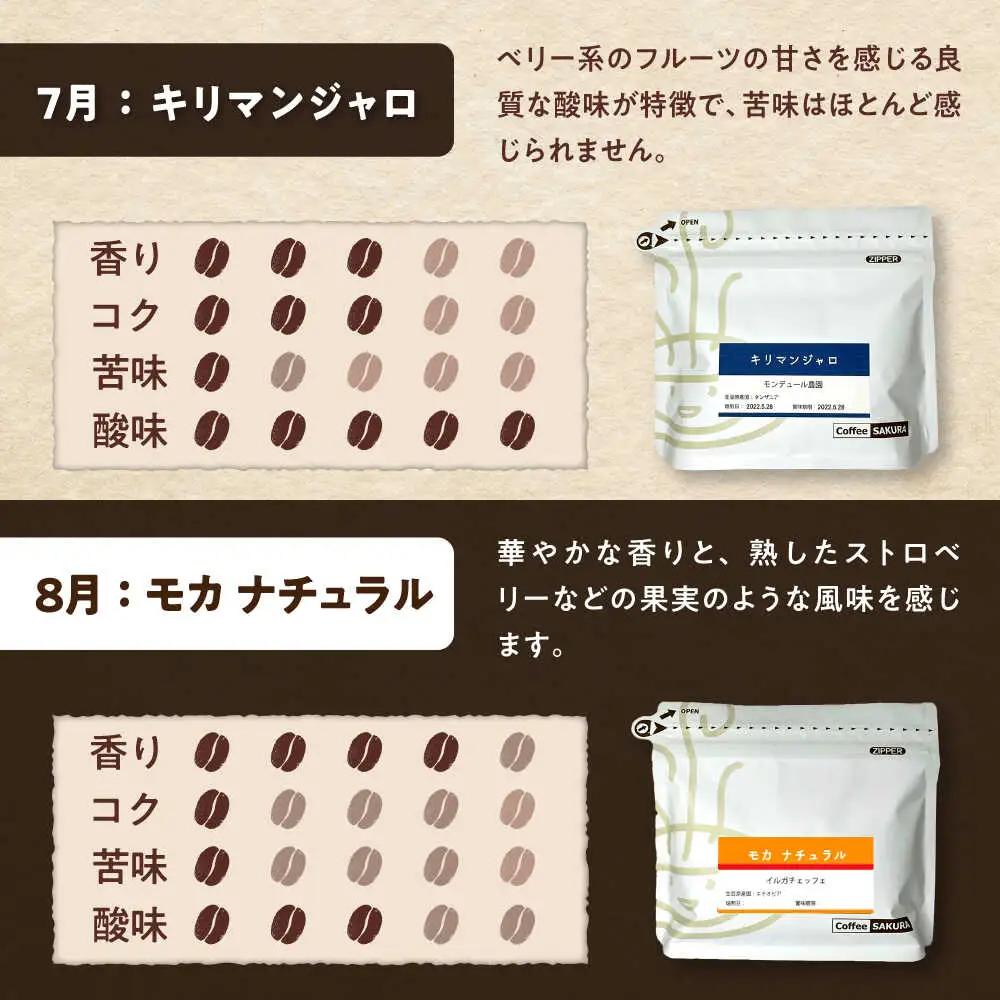 【全12回定期便】世界を旅するコーヒー(豆) / 珈琲 コーヒー / Coffee SAKURA[BBAB150]