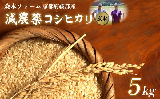 【令和7年度産 先行予約】 減農薬コシヒカリ 玄米 5kg 【 米 コシヒカリ こしひかり 5キロ 5kg 玄米 こめ コメ お米 おこめ 農家直送 減農薬 低農薬 綾部 京都 森本ファーム 】
