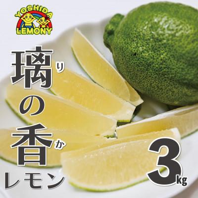 ふるさと納税 宇城市 先行予約 レモン 璃の香(りのか)3kg