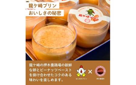龍ケ崎産の落花生を使用した龍ケ崎プリン5個セット【配送不可地域：離島】 | プリン ぷりん 洋菓子 お菓子 デザート おかし 食べ比べ 味比べ ギフト 贈答用 プリン専門店 スイーツ お取り寄せ 内祝