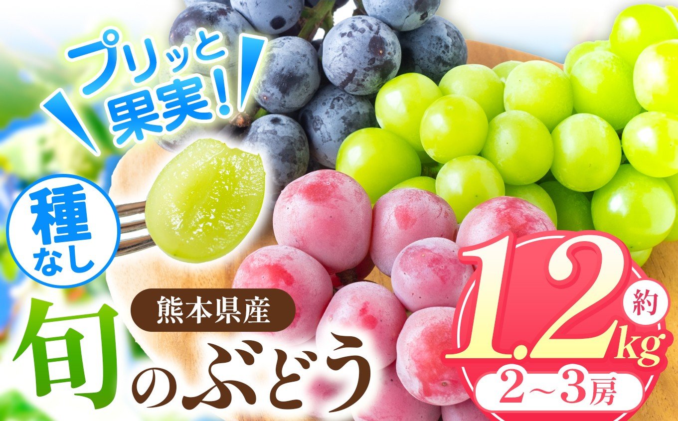 
            「 フルーツはぎお 」 旬の種なし ぶどう と シャインマスカット セット 約 1.2kg | フルーツ 果物 くだもの ブドウ 葡萄 シャイン マスカット 種なし 種無し 熊本県 玉名市
          