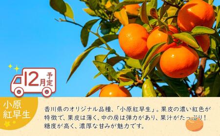 冬のいいとこどり定期便 【12月・１月・２月】全３回