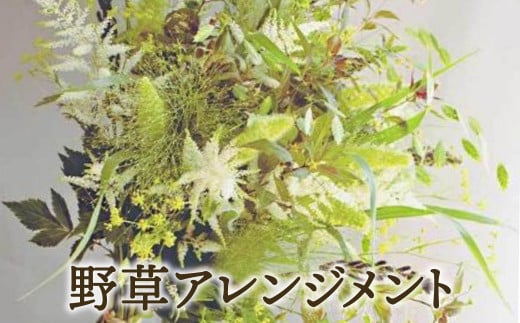 
【先行予約】ZASSOプロジェクト 野花が映える季節の花束 花 観葉植物 ガーデニング インテリア 贈り物 ギフト プレゼント 新着 岩手県 金ケ崎町
