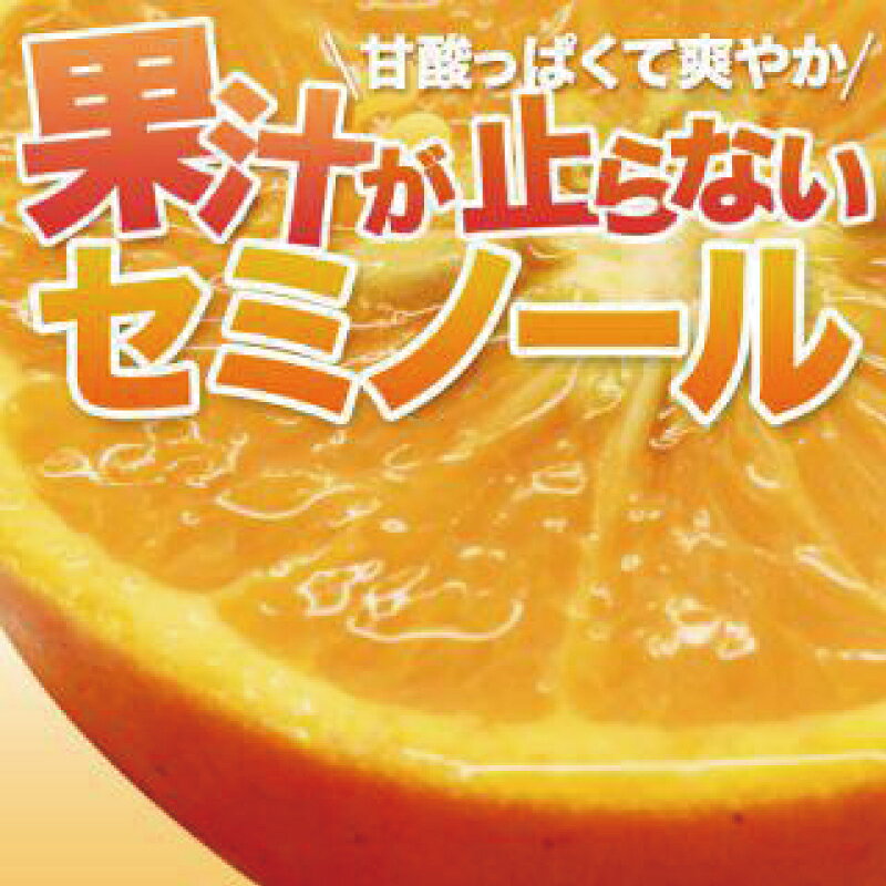 【ふるさと納税】 セミノール 石本果樹園の 美味しい セミノール 約4kg 約30〜35玉前後【2027年4月中旬から5月中旬に順次発送予定】 / みかん フルーツ くだもの 果物 柑橘 産地直送 送料無料 ジューシー