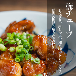 小梅干し 500g 梅肉チューブ 3本 2025年11月～発送予定 梅干