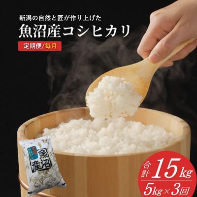 ふるさと納税 小千谷市 【発送月固定定期便】魚沼産コシヒカリ 精米5kg (10月下旬より発送)全3回