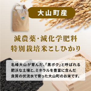 MR-12  減農薬・減化学肥料　特別栽培米こしひかり　3kg（玄米）