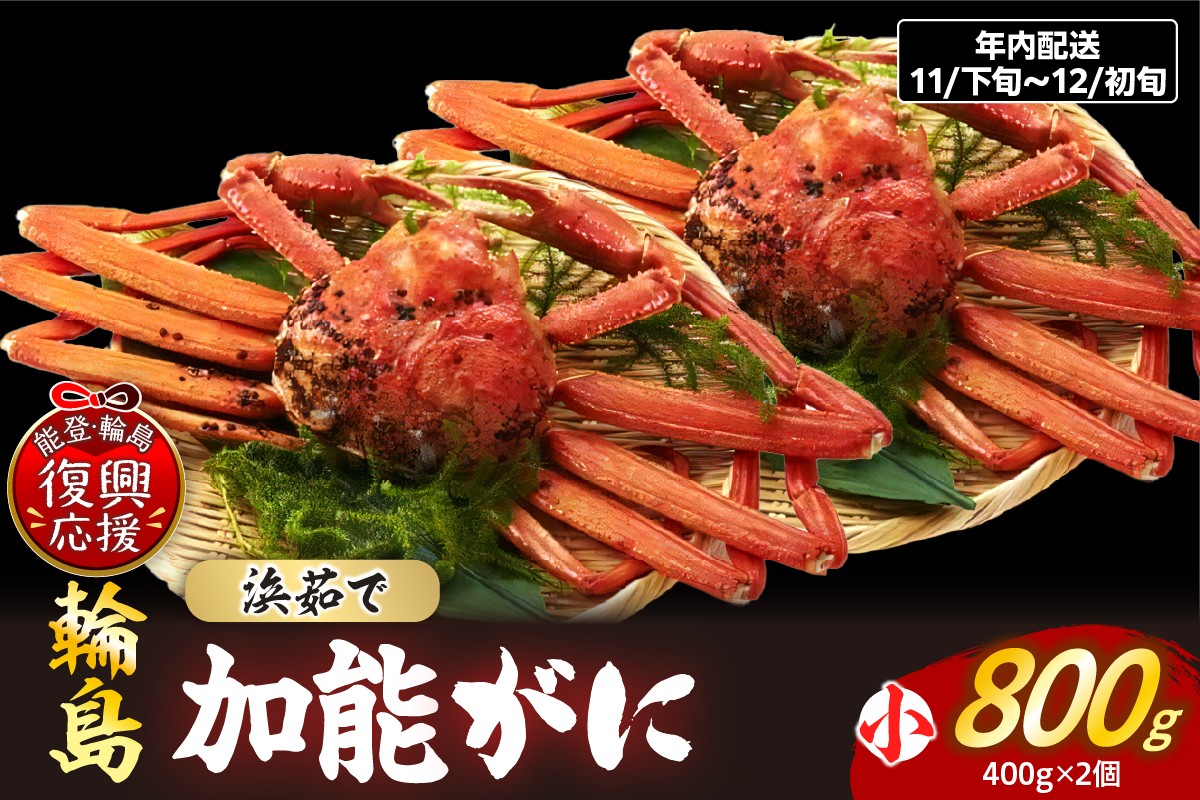 
            【先行予約】加能ガニ（雄ズワイガニ、浜茹で）（小×2）【2025年11月下旬-12月初旬にお届け】
          
