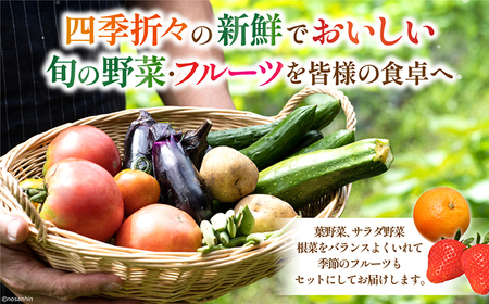 【6回定期便】2ヵ月に1回　「旬の野菜・フルーツ」 詰め合わせ セット（13品-15品）/ 野菜 定期便 やさい 定期便 野菜セット やさいセット 春野菜 夏野菜 秋野菜 冬野菜 旬新鮮 / 南島原市