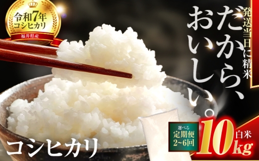 【5か月連続発送】小浜市産コシヒカリ 精米 10kg 若狭の自然が育てたごはん 国産米 福井県 / 白米  地域密着 米問屋 小浜市 / 梅田東米穀店 [BFEK017]
