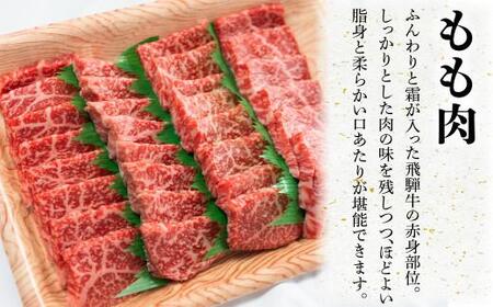 飛騨牛 焼肉 モモ 500g もも A5等級 和牛 国産 一頭買 化粧箱入り 肉の匠家 b527  【飛騨牛 焼肉 和牛ブランド 焼肉 黒毛和牛 飛騨牛 焼肉 岐阜 焼肉】
