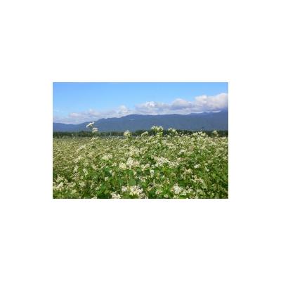 ふるさと納税 伊那市 木曽屋　信州名産そばセット |  | 02
