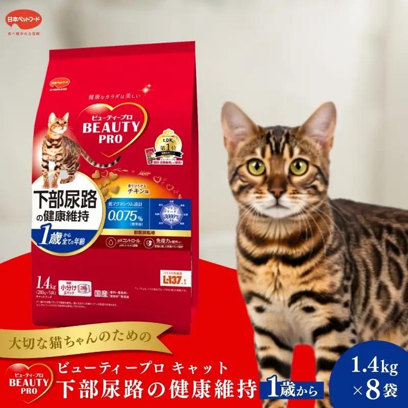 キャットフード ビューティープロ 下部尿路の健康維持 1歳から キャットフード【1.4kg×8】