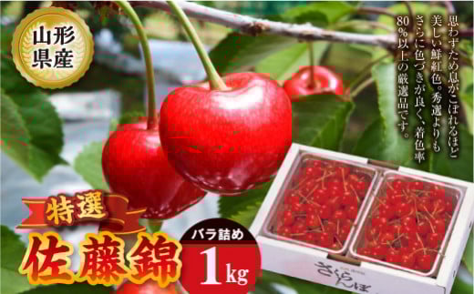 《先行予約 2025年度発送》佐藤錦 特選バラ詰め【1kg】 FSY-2208