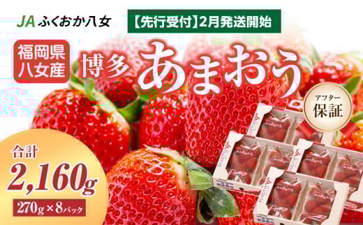 【先行受付 2026年2月発送開始】博多あまおうＧ約270g×8パック｜ＪＡふくおか八女 あまおう いちご 苺 イチゴ フルーツ 果物 くだもの 人気  旬 福岡県産 大粒 アフター補償 数量限定 期間限定 産地直送 グランデ 福岡県 八女市