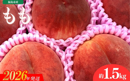 No.3264 道の駅ふくしま 福島市産 もも　約1.5kg（4玉～5玉）【2026年発送】