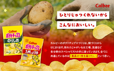 カルビー ポテトチップス 2種 食べ比べ セット 【 のりしお × 九州しょうゆ 】 計28袋 K194-002_14 菓子