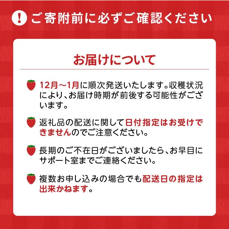 【2026年12月以降お届け】福岡産［冬］あまおう2パック_冬くるめ あまおう 250g × 2パック 合計 500g 冷蔵 濃厚 甘い 大粒 果汁 アフター保証 安心安全 国産 いちご 果物 アレン