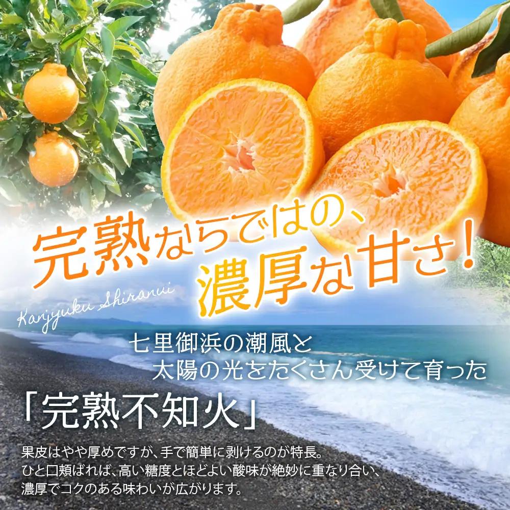 不知火 仲森農園の完熟不知火 5kg【nkmr0003】
