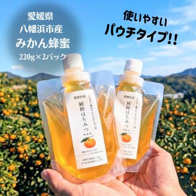 ふるさと納税 八幡浜市 純粋はちみつ【みかん蜂蜜】220g×2パック(パウチタイプ)【74-2】