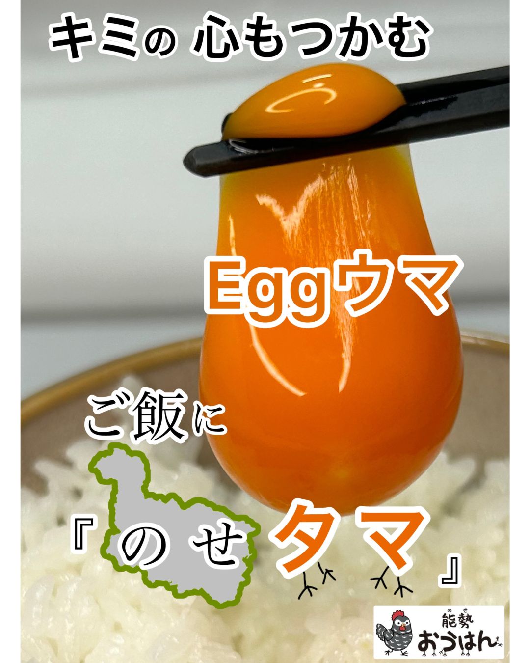 【ふるさと納税】「さぁ!ご飯にのせ玉子」モノクロ鶏の極上個性たまご50個_たまご 玉子 卵 卵かけご飯 玉子かけご飯 たまごかけ 生卵 鶏卵 国産 地玉子 玉子焼き 卵焼き たまご焼き【配送不可地域：離島】【1033861】