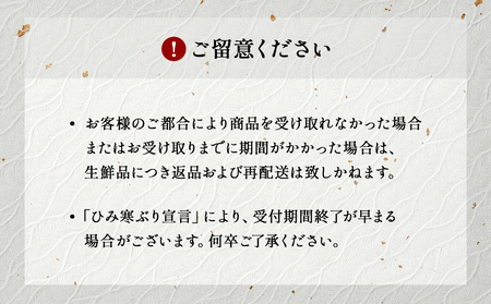 【先行予約】ひみ寒ぶり朝どれ1本【7～8kg】　三枚おろし（神経抜〆）【半七】※配送地域限定　