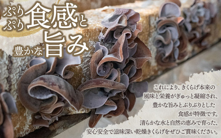 羽黒産 乾燥キクラゲ 60g(12g×5)　山形県鶴岡市 農事組合法人 庄内おばこ農場 K-710