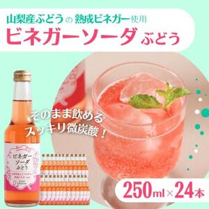 山梨産ぶどう100%の熟成ビネガーで造った!そのまま飲める「ビネガーソーダぶどう24本セット」【1518783】