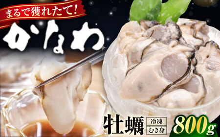 冷凍牡蠣むき身800g 牡蠣[XBP054]