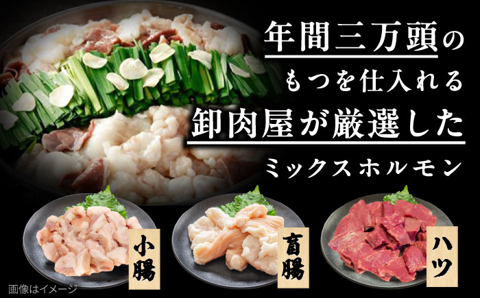 「上田商店」工場直販 もつ鍋セット(白味噌/8-10人前) 吉富町/株式会社吉浦コーポレーション [BGAD060]