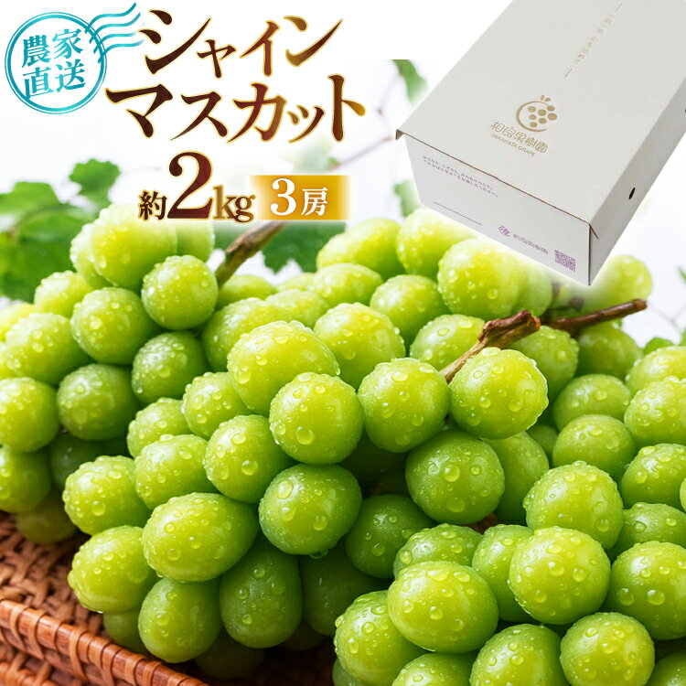 【ふるさと納税】【期間限定発送】 シャインマスカット 3房 約2kg [tk06ayt350004 山形県 高畠町 相良果樹園] ぶどう ブドウ 葡萄 マスカット 大粒 種なし 高級 くだもの 果物 フルーツ 秋果実 産地直送 農家直送 数量限定 果物 フルーツ くだもの