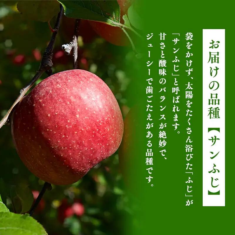 3月 葉取らずサンふじ 約10kg 訳あり 家庭用 [hi-0009-009]