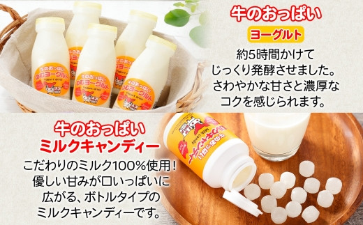 おっぱいミルクを100％使用した、飲むヨーグルトとキャンディーです。