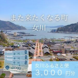 「女川ふるさと便」1000円分×3枚【1674172】