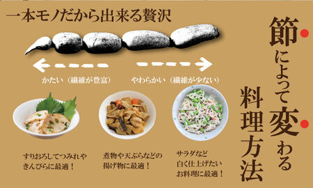 【先行ご予約受付中】氷詰めレンコン（1.5～2kg） B140-001