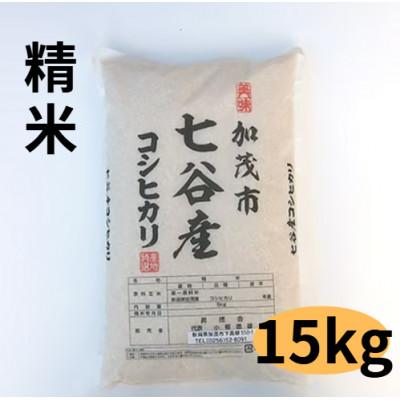 ふるさと納税 加茂市 【新潟県加茂市七谷産】コシヒカリ 精米 5kg×3袋(高柳産・生産者指定)