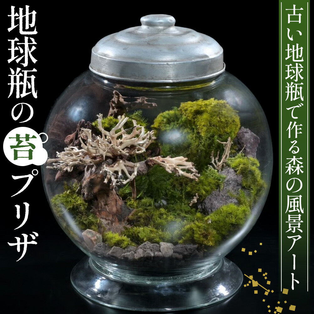 【ふるさと納税】No.357 地球瓶の苔プリザ／ 苔 鑑賞 癒し 送料無料 埼玉県