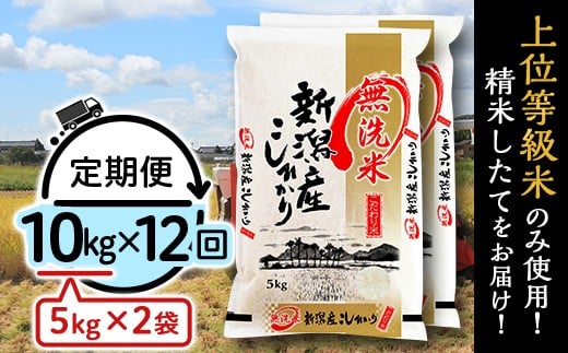 31-M10Z【無洗米】新潟県産コシヒカリ10kg（5kg×2袋）【12ヶ月連続お届け】