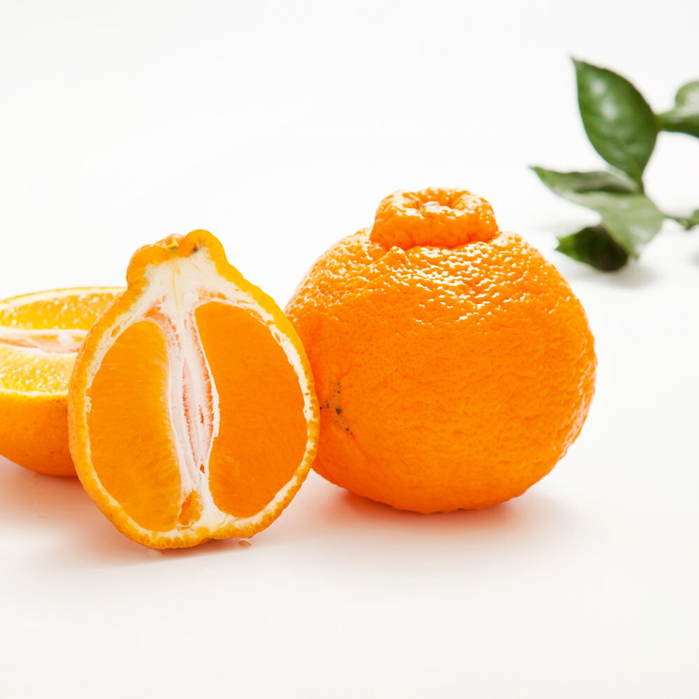 【ふるさと納税】環境マイスターの不知火 訳あり 約4kg 15玉前後 （栽培期間中は無肥料 ・低農薬） 不知火 みかん ミカン 蜜柑 果物 国産 九州産 熊本県産 冷蔵 送料無料【2026年2月上旬‐5月上旬迄順次発送予定】