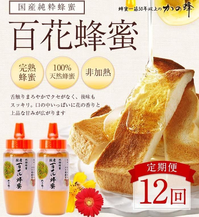 【全12回】 定期便 かの蜂 国産 百花蜂蜜 合計12kg（とんがり容器500gを毎月2本お届け） 純粋はちみつ ハチミツ 非加熱 ハニー 大容量