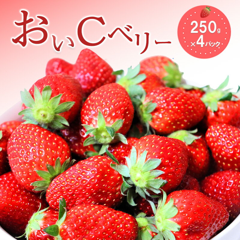 【ふるさと納税】おすすめ品種「おいCベリー」4パック　250g×4パック　『とくしま安2（安全・安心）農産物』優秀認定取得　お届け：2025年12月30日～2026年2月15日まで
